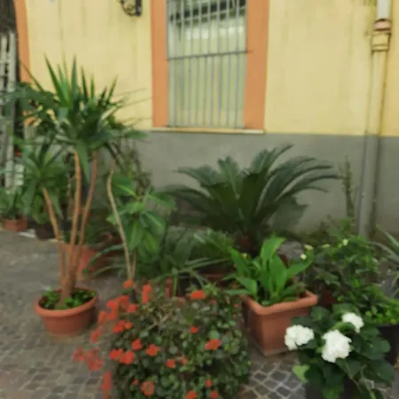 Appartamento Ampio In Centro *