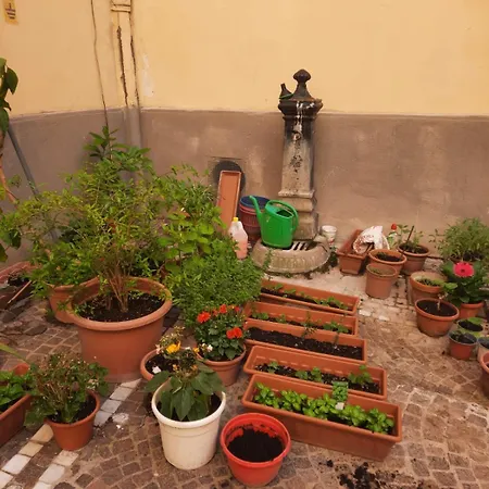 Ampio In Centro Appartamento