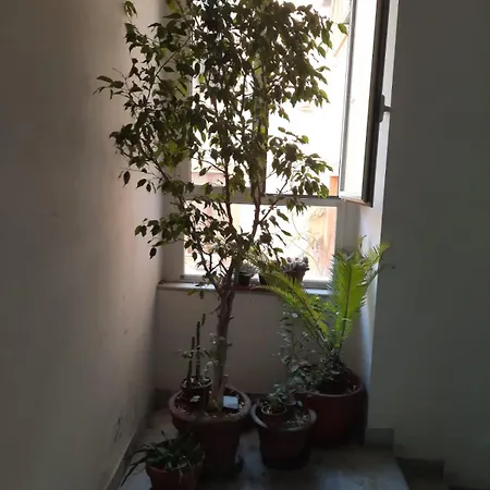 Ampio In Centro Νάπολη