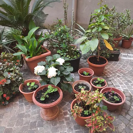 Ampio In Centro Διαμέρισμα Νάπολη